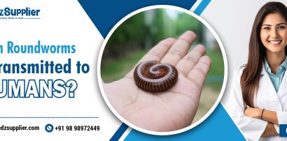 Can Roundworms Be Transmitted To Humans
