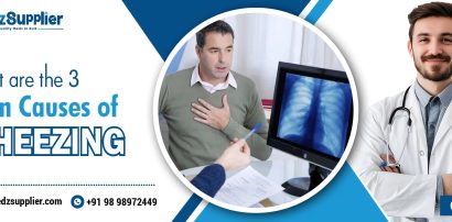 What are the 3 Main Causes of Wheezing