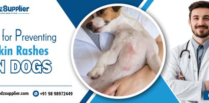 Tips for Preventing Skin Rashes in Dogs