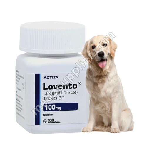 Blog 20 Sildenafil for Dogs