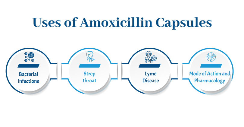Amoxicillin Supplier 2 image 14 medzsupplier