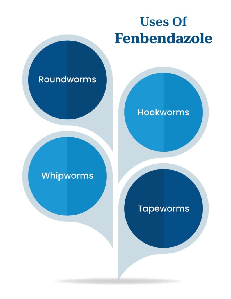 Fenbendazole 444 Mg Tablet (Wormiza) 2 Uses Of Fenbendazole 444 2 medzsupplier