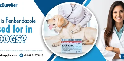 What is Fenbendazole Used for in Dogs?