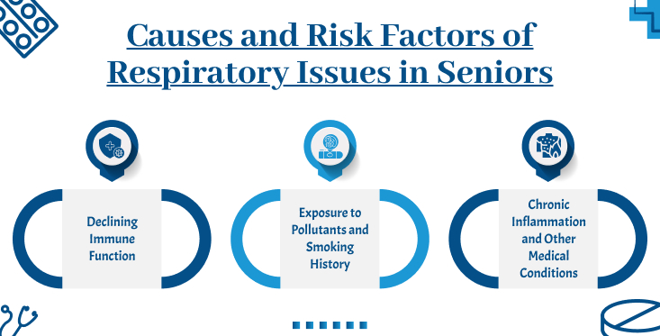 Causеs and Risk Factors of Respiratory Issues in Sеniors medzsupplier