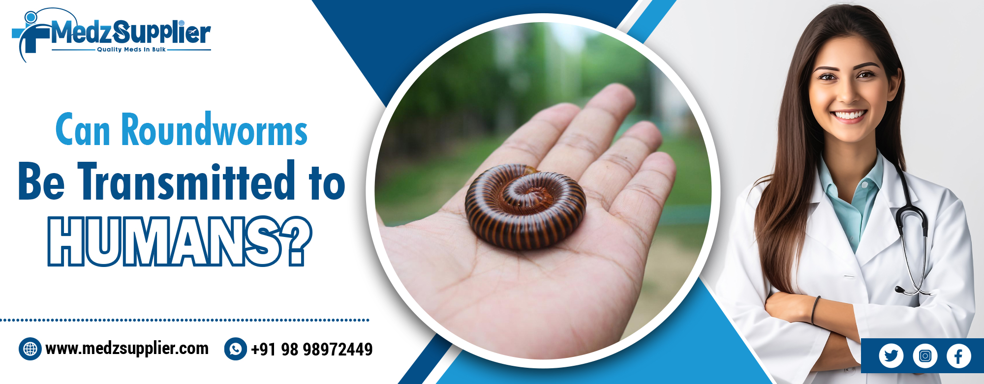 Can Roundworms Be Transmitted To Humans