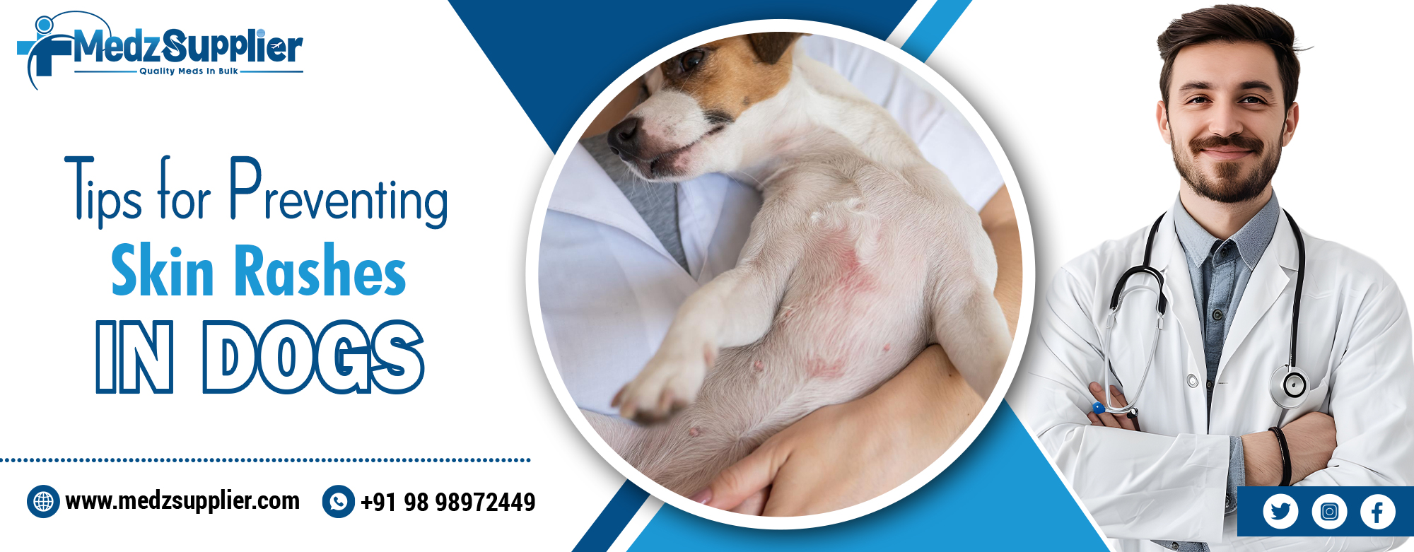Tips for Preventing Skin Rashes in Dogs