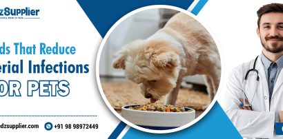 Foods That Reduce Bacterial Infections For Pets medzsupplier
