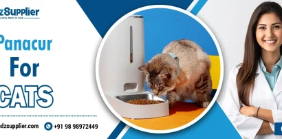 Panacur For Cats