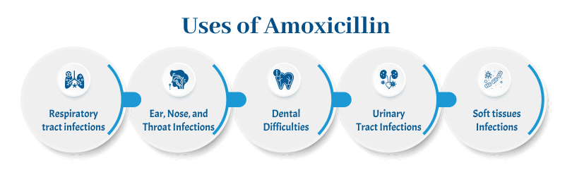 Uses of Amoxicillin 1 medzsupplier