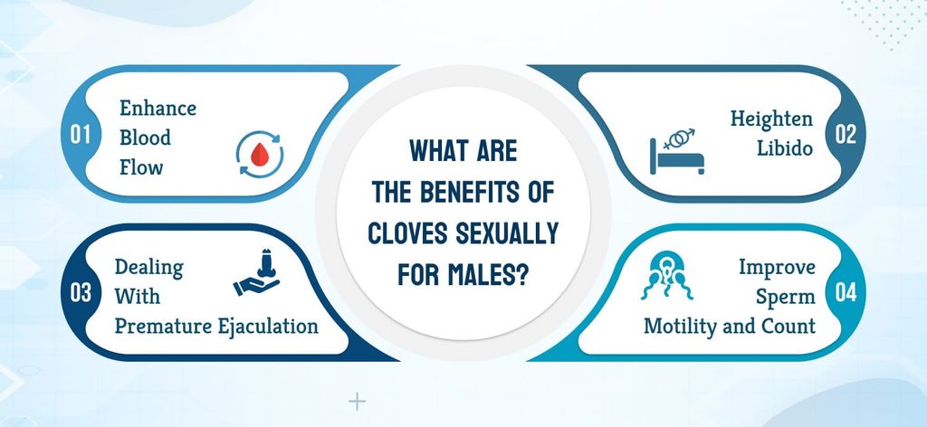 Benefits of Cloves Sexually for Males 2 What are the Benefits of Cloves Sexually for Males 1 1 medzsupplier