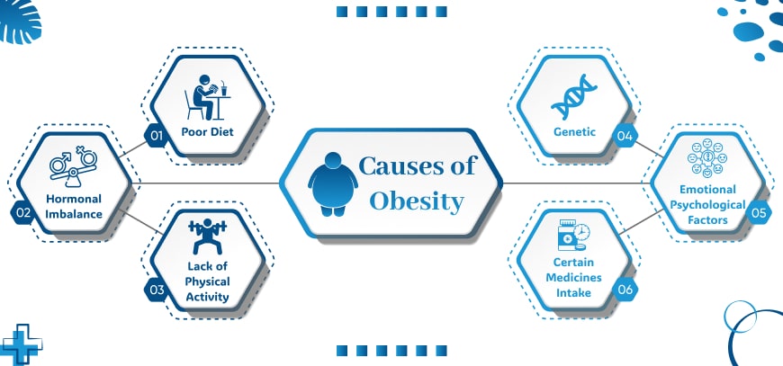 Causes of Obesity min medzsupplier