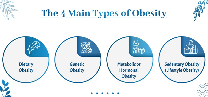 The 4 Main Types of Obesity min medzsupplier