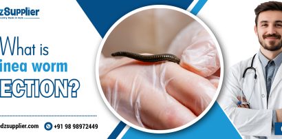 What is Guinea Worm Infection