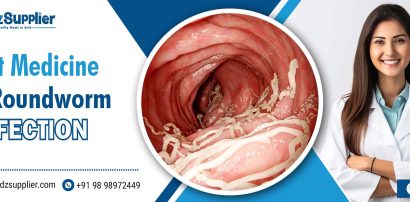 Best Medicine for Roundworm Infection