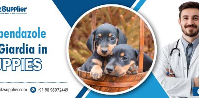 Fenbendazole for Giardia in Puppies