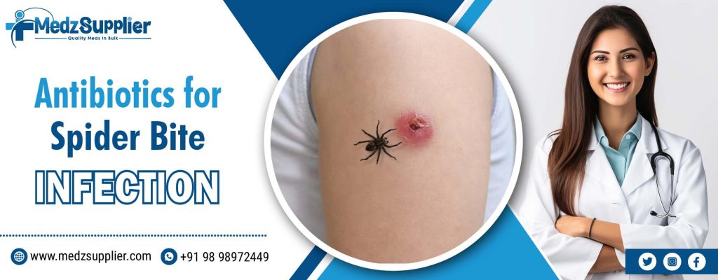 Antibiotics for Spider Bite Infection