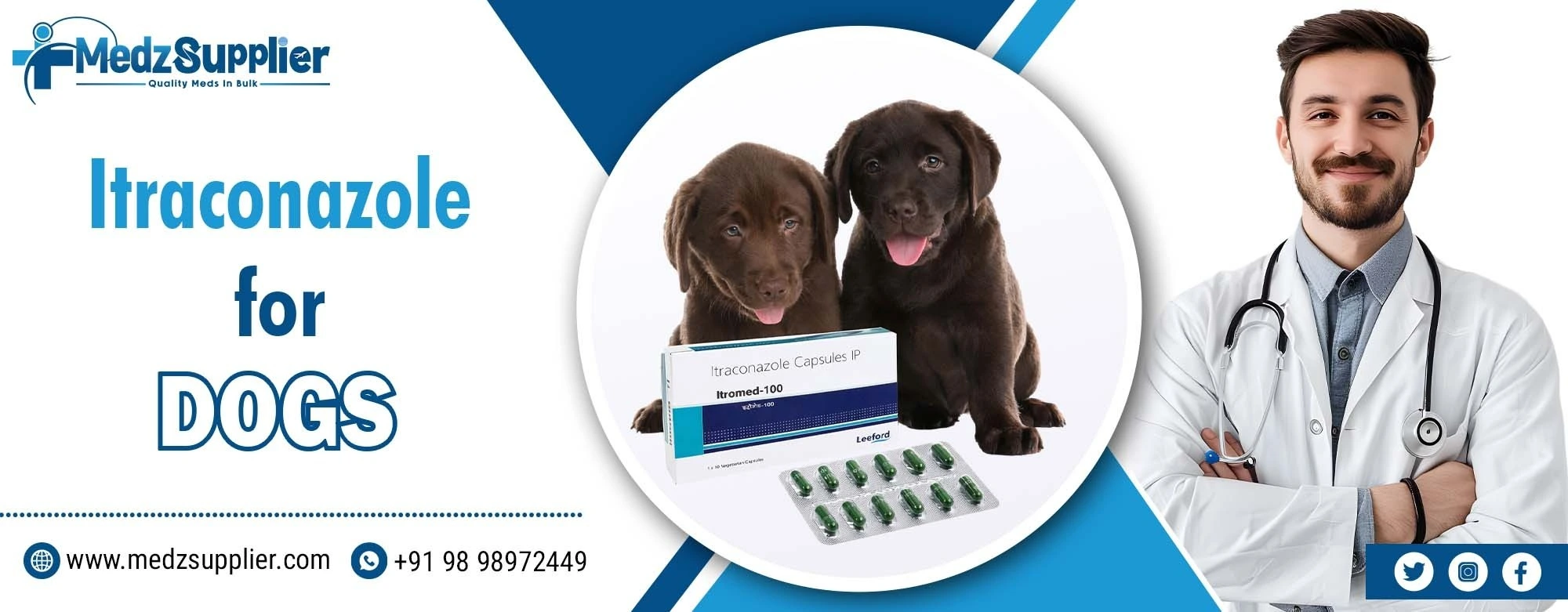 Itraconazole for Dogs