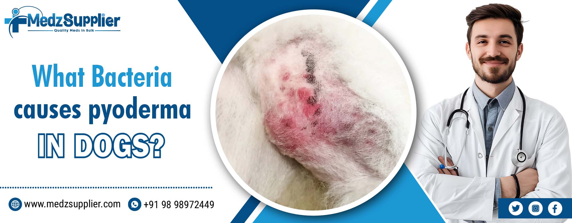 What Bacteria Causes Pyoderma in Dogs