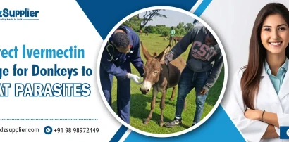 Ivermectin Dosage for Donkeys
