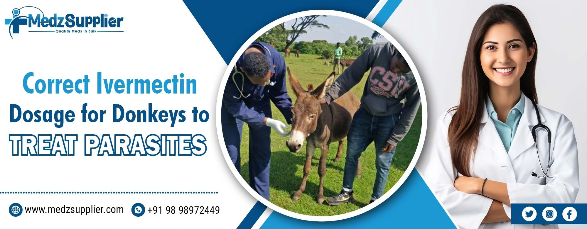 Ivermectin Dosage for Donkeys
