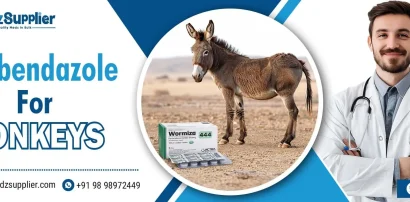 Fenbendazole For Donkeys