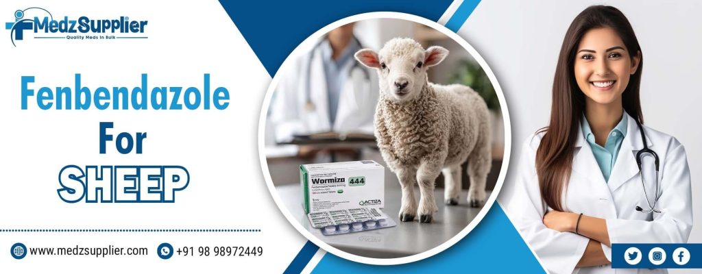 Fenbendazole for Sheep 1 Fenbendazole for Sheep
