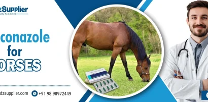 Itraconazole for Horses