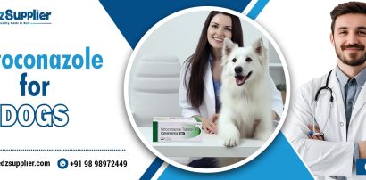 Ketoconazole for dogs