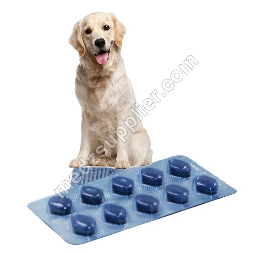 Sildenafil for Dogs 1 Sildenafil for Dogs