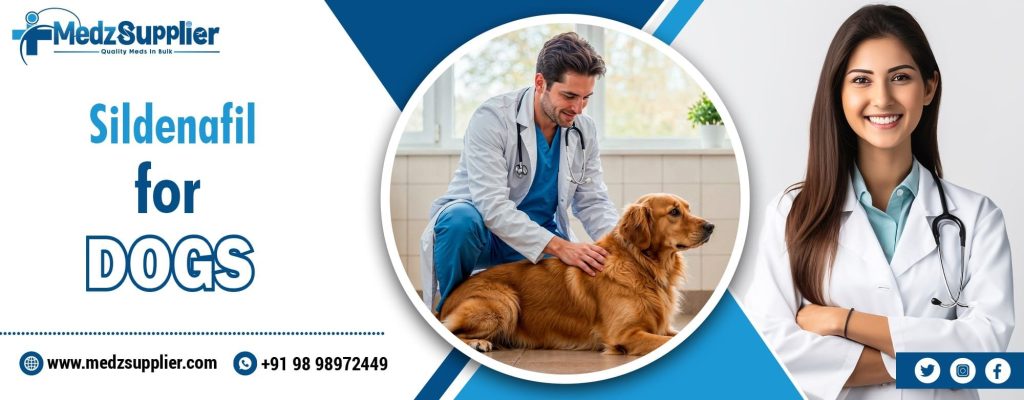Sildenafil for Dogs