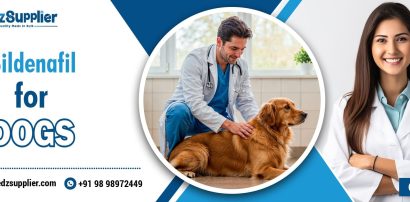 Sildenafil for Dogs