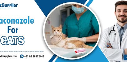 Itraconazole for Cats