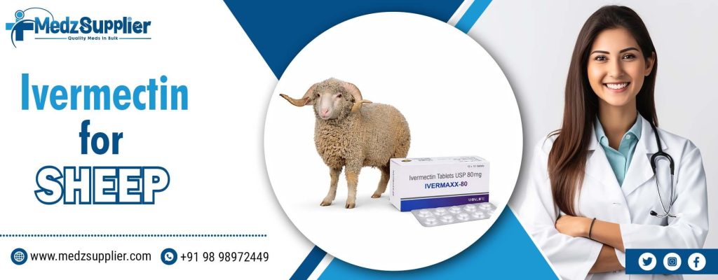 Ivermectin for sheep