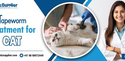 Tapeworm Treatment For Cat