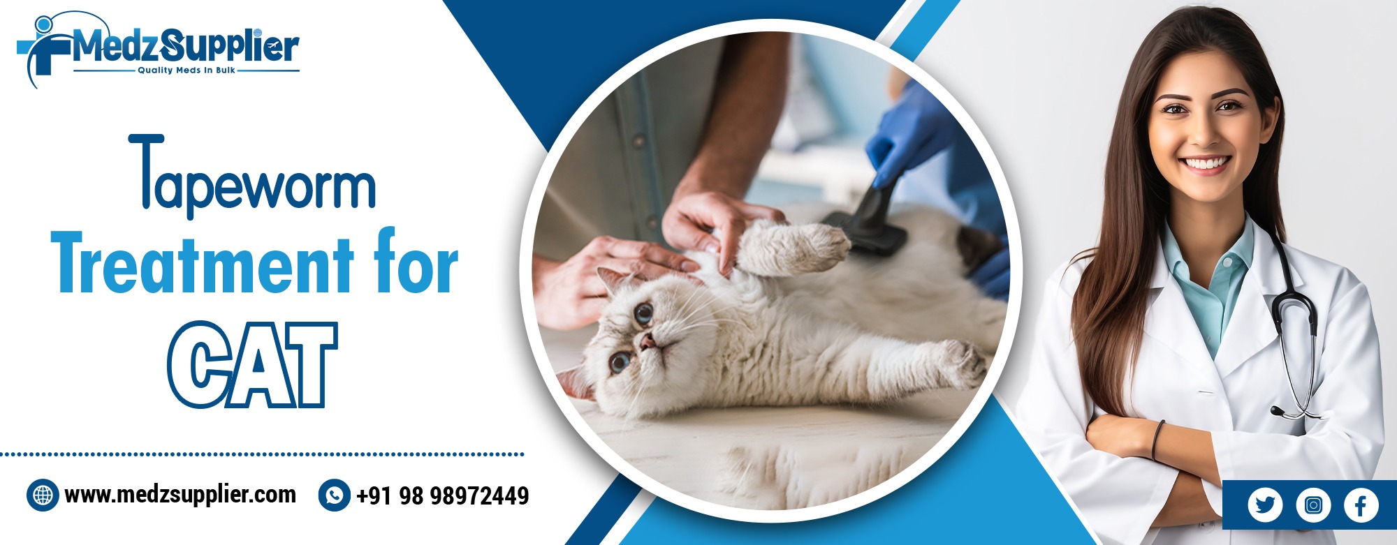 Tapeworm Treatment For Cat
