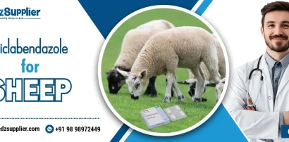 Triclabendazole for Sheep