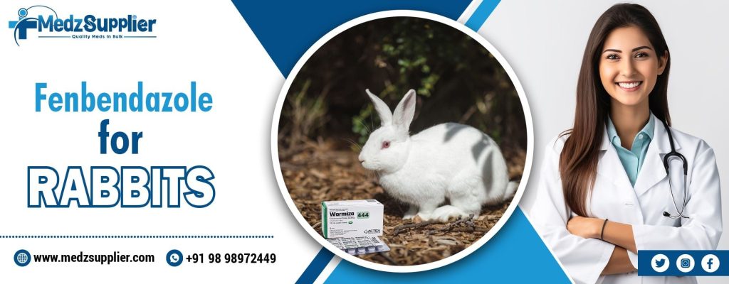 Fenbendazole For Rabbits: Uses, Benefits and Safety 1 Fenbendazole For Rabbits
