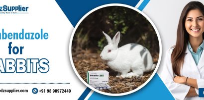 Fenbendazole For Rabbits