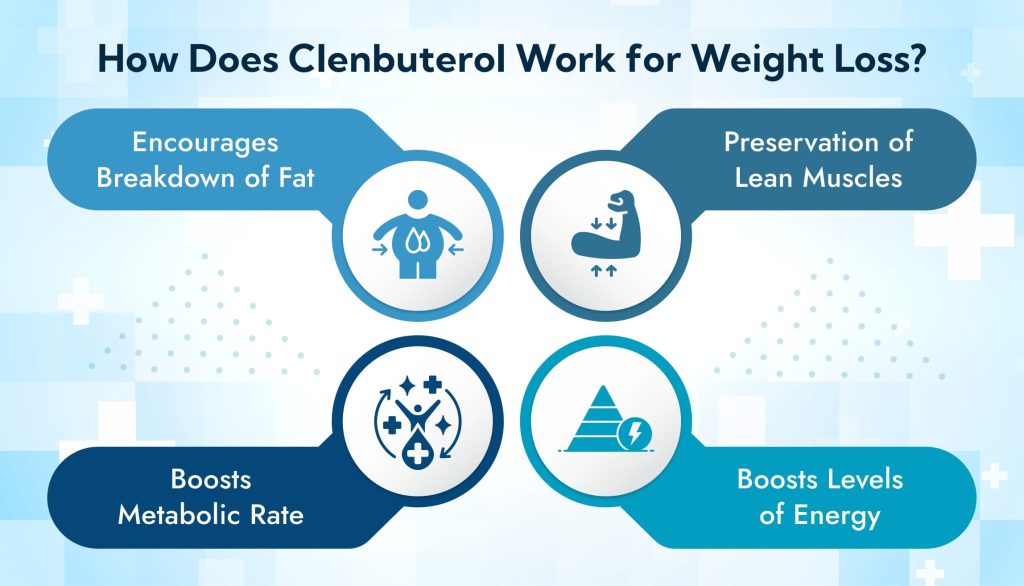 Clenbuterol Weight Loss: Is It Effective for Fat Loss? 2 How Does Clenbuterol Work for Weight Loss 1 medzsupplier