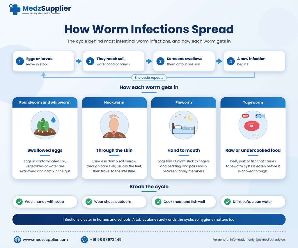 Worm Tablets: A Simple Guide for Adults and Parents 2 how worm infections spread medzsupplier