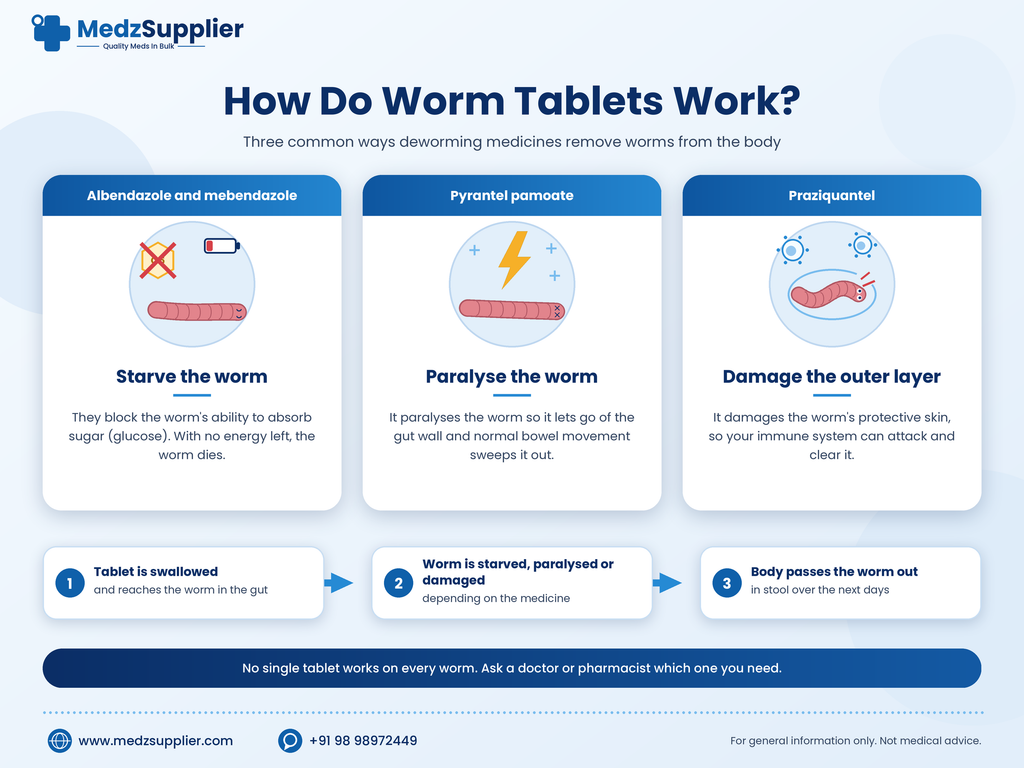 Worm Tablets: A Simple Guide for Adults and Parents 4 how worm tablets work medzsupplier